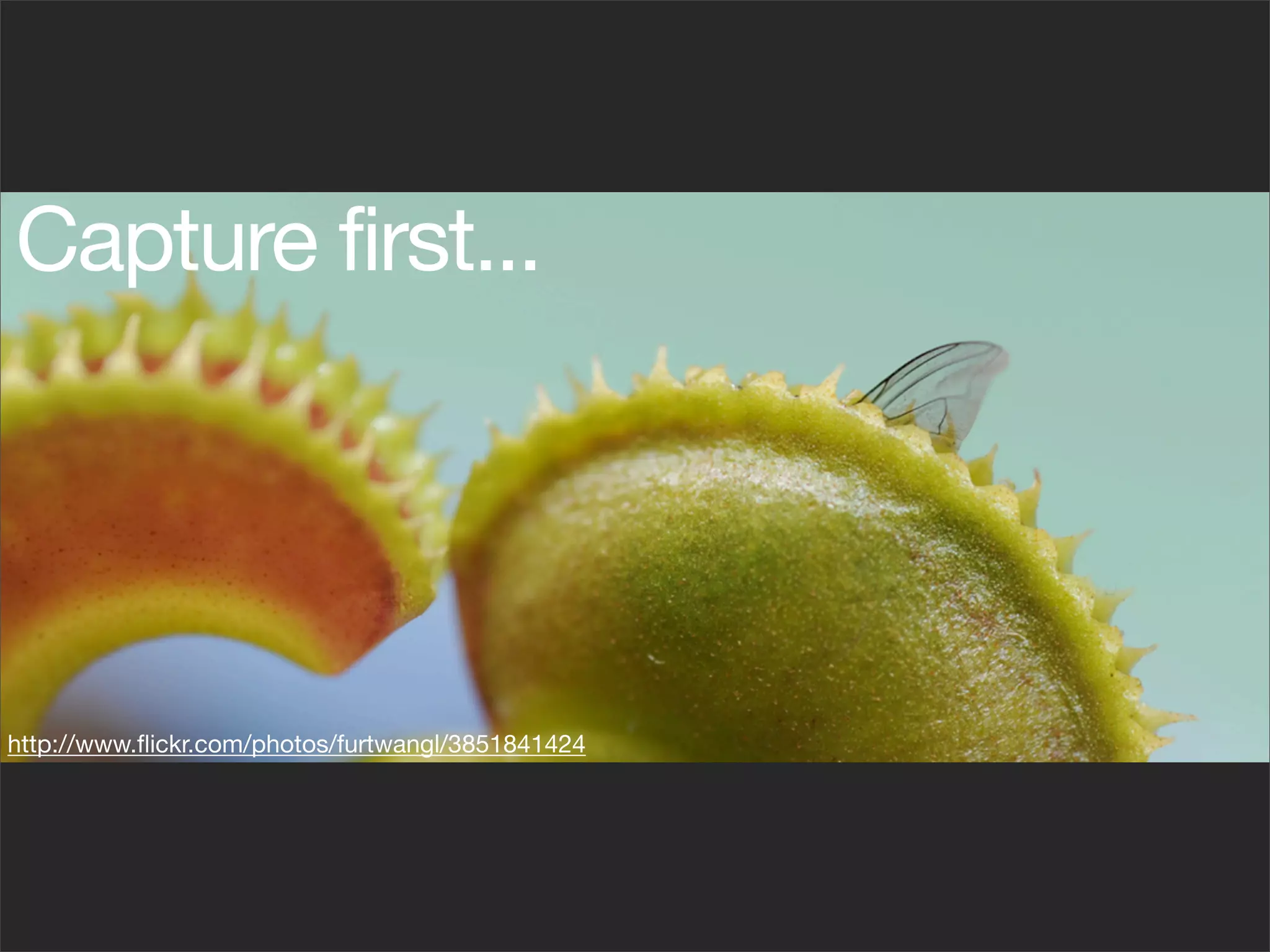 Capture first...




http://www.ﬂickr.com/photos/furtwangl/3851841424
 