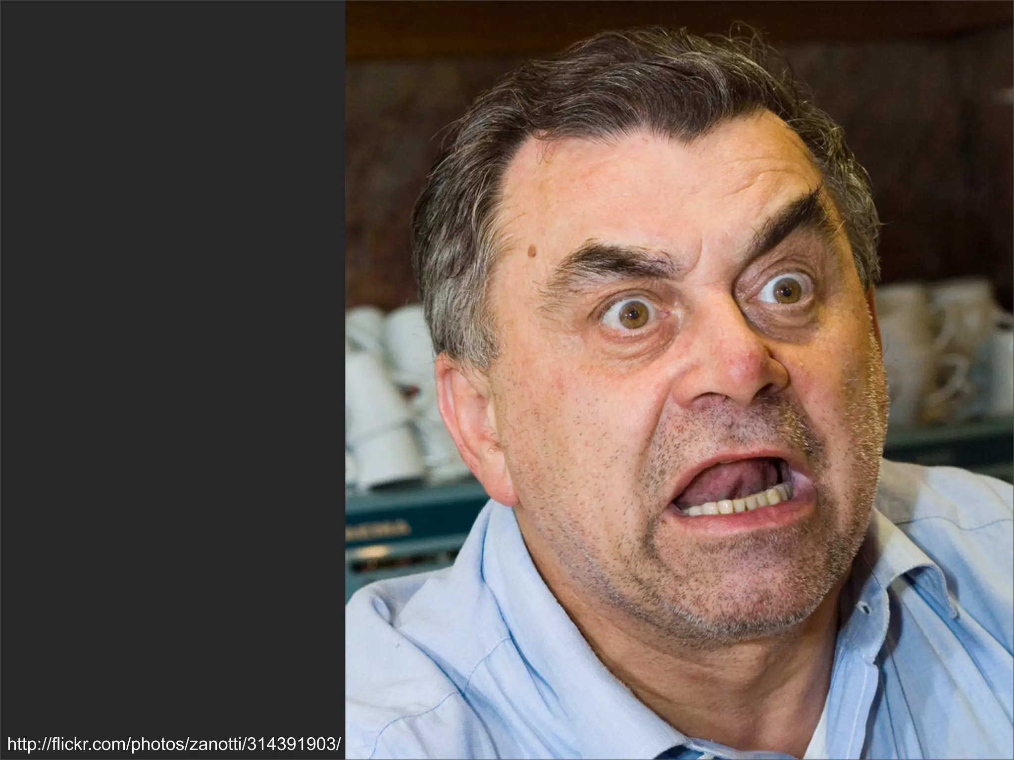 http://flickr.com/photos/zanotti/314391903/
 