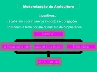 Modernização da Agricultura

                                                                Incentivos:
          • acabaram com inúmeros impostos e obrigações
          • dividiram a terra por maior número de proprietários

                                                                       D iv is ã o d a te rra


T ira ra m te rra s a o s m o s te iro s e n o b re s   A c a b a ra m c o m o d ire ito d e m o rg a d i o   D iv id ira m o s b a ld io s



                                                             Á re a s c u ltiv a d a s a u m e n ta ra m
 