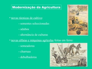 Modernização da Agricultura


• novas técnicas de cultivo:
       - sementes seleccionadas
       - adubos
       - alternância de culturas
• novas alfaias e máquinas agrícolas feitas em ferro:
       - semeadoras
       - charruas
       - debulhadoras
 