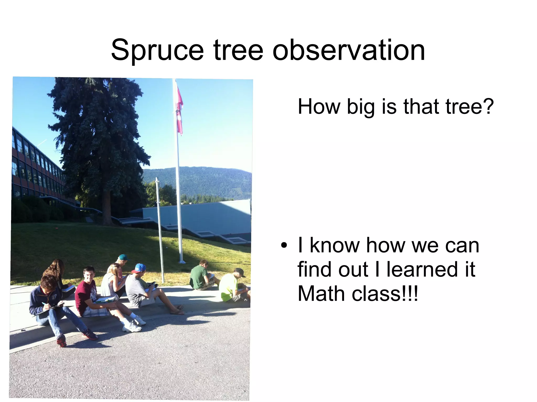 Spruce tree observation
How big is that tree?
● I know how we can
find out I learned it
Math class!!!
