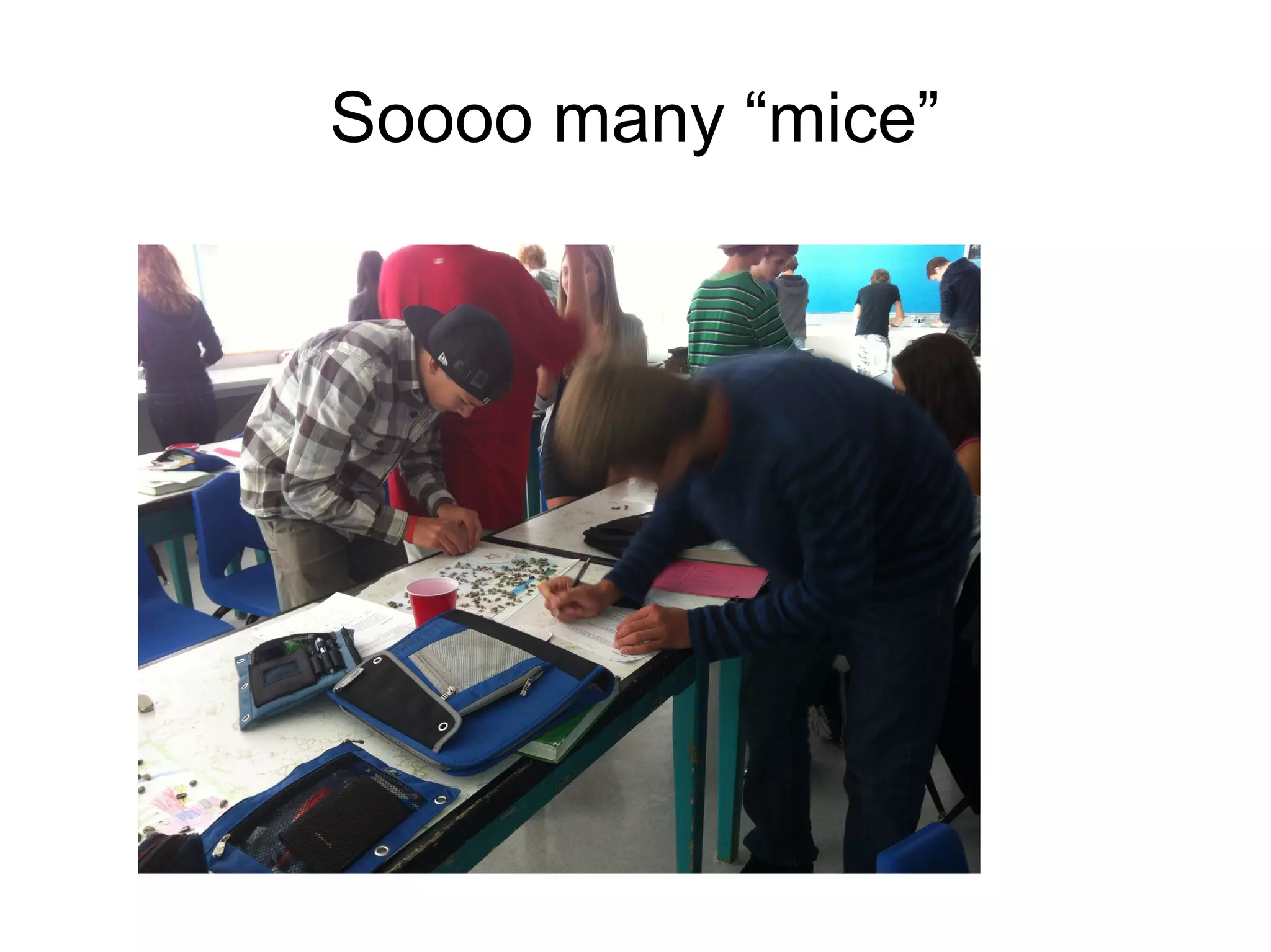 Soooo many “mice”