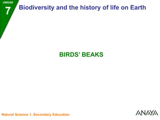 UNIDAD
7 Biodiversity and the history of life on Earth
BIRDS’ BEAKS
Natural Science 1. Secondary Education
 