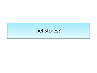 pet stores? 