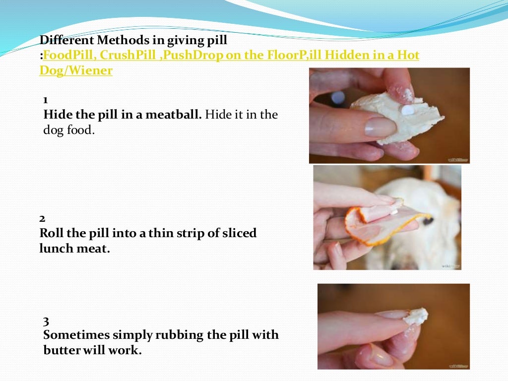 Animal Handling and Restraint