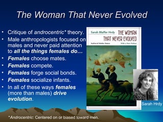 The Woman That Never Evolved Critique of  androcentric*  theory. Male anthropologists focused on males and never paid attention to  all the things females do… Females   choose mates. Females  compete. Females  forge social bonds. Females   socialize infants. In all of these ways  females  (more than males)  drive evolution . Sarah Hrdy * Androcentric : Centered on or biased toward men. 