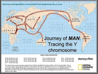 http://news.nationalgeographic.com/news/2002/12/photogalleries/journey_of_man/ Journey of  MAN : Tracing the Y chromosome 