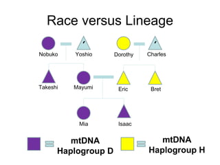 Race versus Lineage ? ? Nobuko Takeshi Dorothy Charles Bret Eric Mayumi Mia Isaac Yoshio mtDNA Haplogroup D mtDNA Haplogroup H 