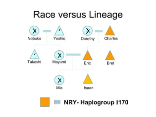 Race versus Lineage X X ? ? X X Nobuko Takeshi Dorothy Charles Bret Eric Mayumi Mia Isaac Yoshio NRY- Haplogroup  I 170 