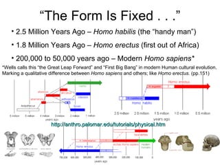 “ The Form Is Fixed . . .” http://anthro.palomar.edu/tutorials/physical.htm 2.5 Million Years Ago –  Homo habilis  (the “handy man”) 1.8 Million Years Ago –  Homo erectus  (first out of Africa) 200,000 to 50,000 years ago – Modern  Homo sapiens* *Wells calls this “the Great Leap Forward” and “First Big Bang” in modern Human cultural evolution. Marking a qualitative difference between  Homo sapiens  and others; like  Homo erectus . (pp.151) 