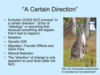 “ A Certain Direction” Evolution  DOES NOT  proceed “in a certain direction”. (Error of “teleology” or assuming that because something did happen that it  had to happen ). Mutation Genetic Drift Migration, Founder Effects and Gene Flow Natural Selection The “direction” of change is only apparent  ex post facto  (after the fact). Why are marsupials predominant in Australia but not elsewhere? 