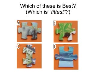Which of these is Best? (Which is  “fittest”? ) A B C D 
