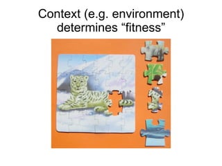 Context (e.g. environment) determines “fitness” 