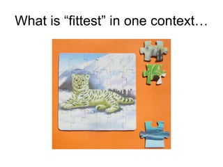 What is “fittest” in one context… 