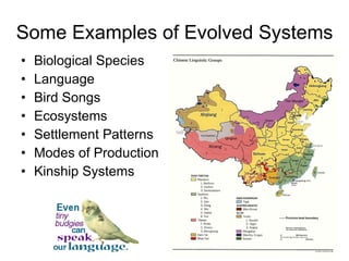 Some Examples of Evolved Systems Biological Species Language Bird Songs Ecosystems Settlement Patterns Modes of Production Kinship Systems 