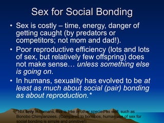 Sex for Social Bonding Sex is costly – time, energy, danger of getting caught (by predators or competitors; not mom and dad!). Poor reproductive efficiency (lots and lots of sex, but relatively few offspring) does not make sense…  unless something else is going on . In humans, sexuality has evolved to be  at least as much about social (pair) bonding as about reproduction.* *Not  only  in humans, this is true in other species as well, such as Bonobo Chimpanzees. (Compared to bonobos, human use of sex for social bonding is simple and primitive!) 