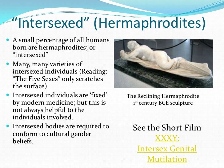 Sc2220 lecture 2 2012