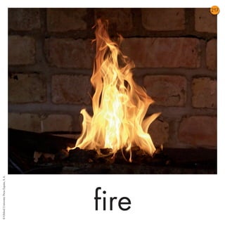 08 FC 2 PRIM                              16/06/10   12:36   Página 217




                                                                                 217
© Oxford University Press España, S. A.




                                                                          fire
 