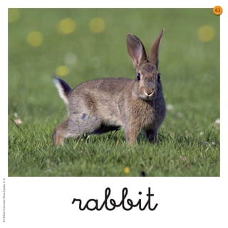 Sc2 u5 flashcards | PDF | Geography | Science