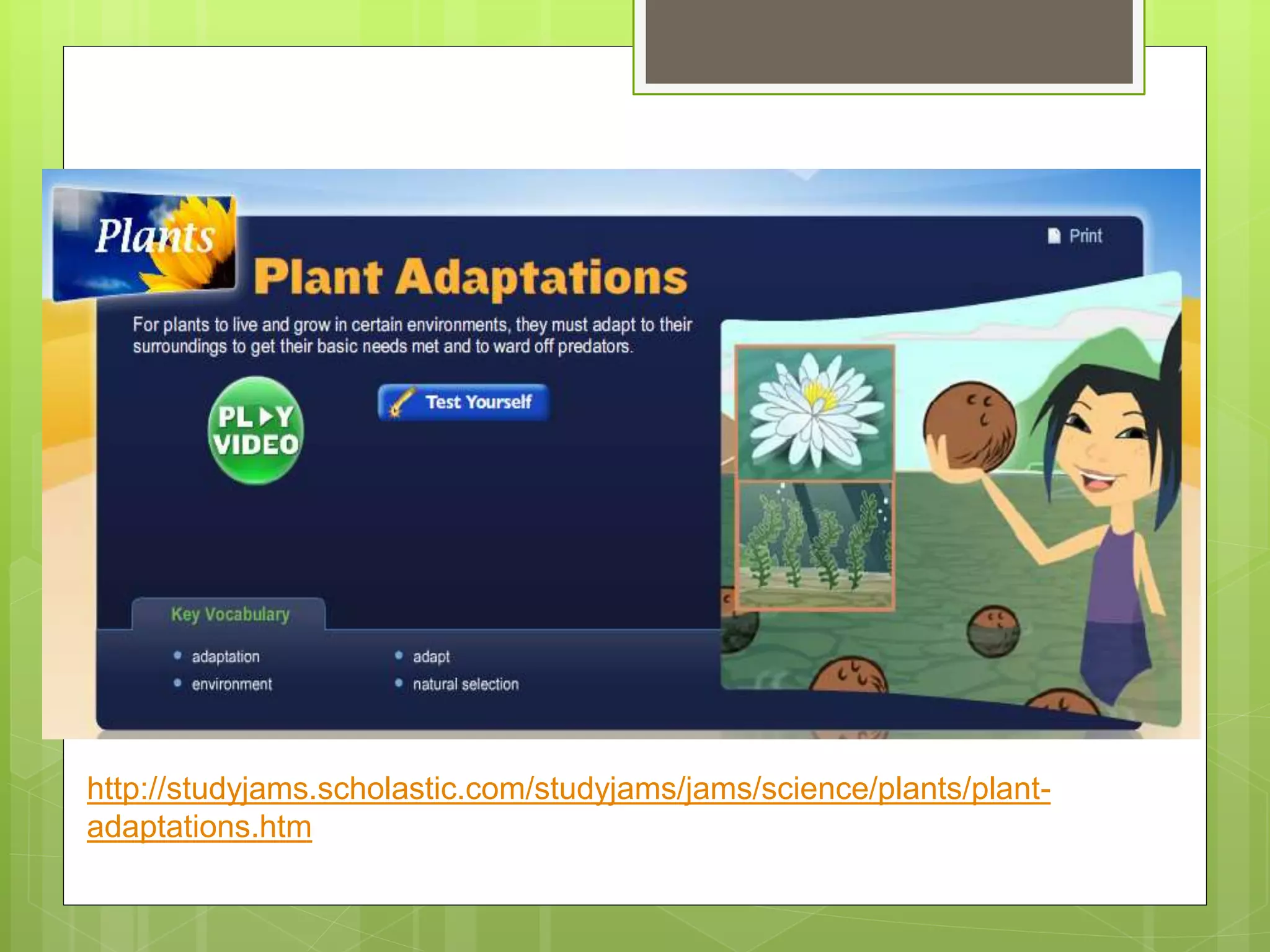 http://studyjams.scholastic.com/studyjams/jams/science/plants/plant-
adaptations.htm
 