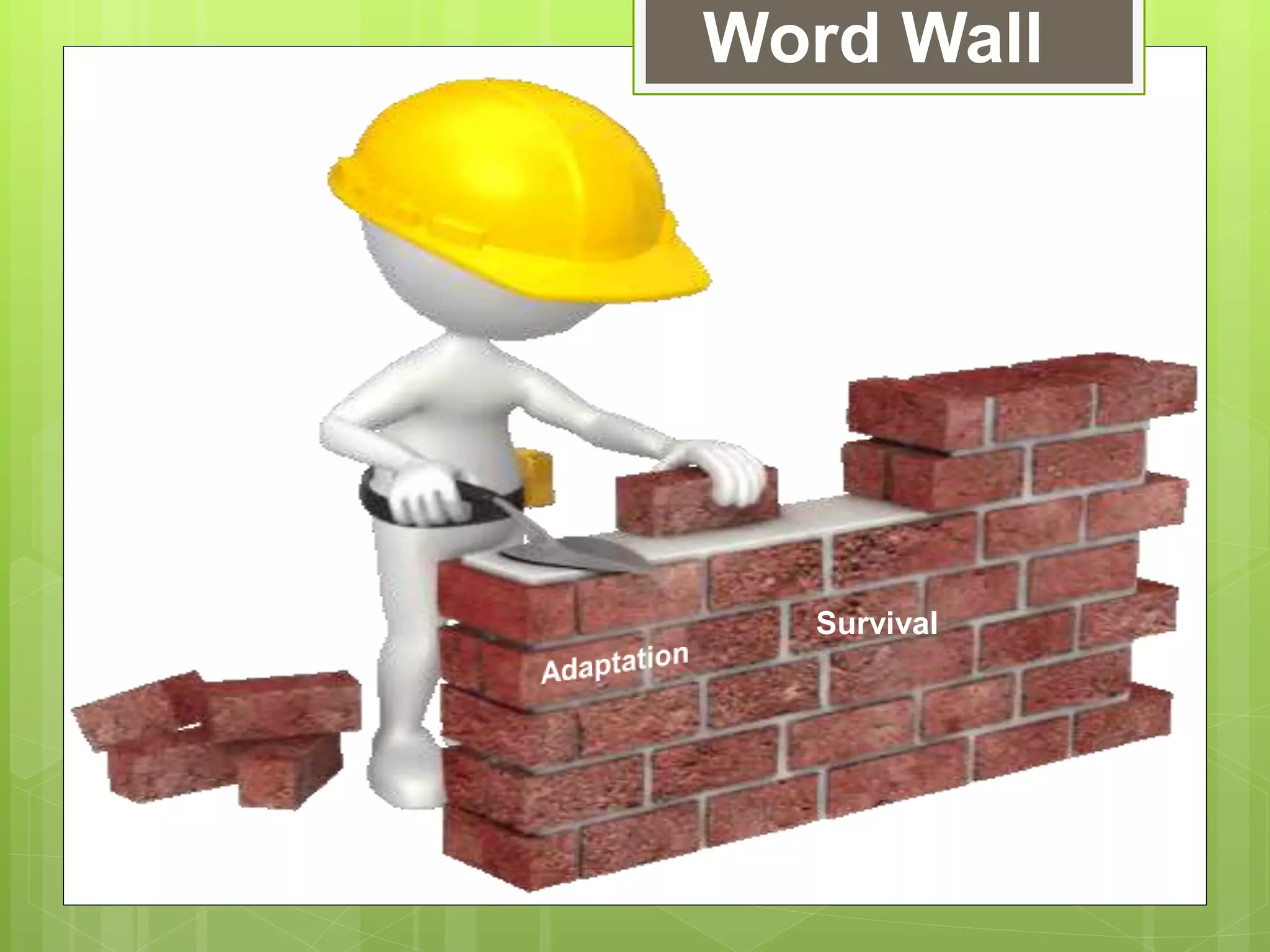 Word Wall
Survival
 