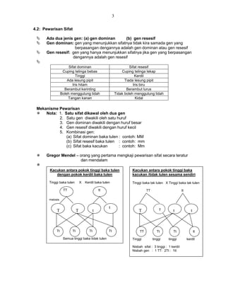 3
4.2: Pewarisan Sifat
 Ada dua jenis gen: (a) gen dominan (b) gen resesif
 Gen dominan: gen yang menunjukkan sifatnya tidak kira samada gen yang
berpasangan dengannya adalah gen dominan atau gen resesif
 Gen resesif: gen yang hanya menunjukkan sifatnya jika gen yang berpasangan
dengannya adalah gen resesif

Mekanisme Pewarisan
 Nota: 1. Satu sifat dikawal oleh dua gen
2. Satu gen diwakili oleh satu huruf
3. Gen dominan diwakili dengan huruf besar
4. Gen resesif diwakili dengan huruf kecil
5. Kombinasi gen:
(a) Sifat dominan baka tulen : contoh: MM
(b) Sifat resesif baka tulen : contoh: mm
(c) Sifat baka kacukan : contoh: Mm
 Gregor Mendel – orang yang pertama mengkaji pewarisan sifat secara teratur
dan mendalam

Sifat dominan Sifat resesif
Cuping telinga bebas Cuping telinga lekap
Tinggi Kerdil
Ada lesung pipit Tiada lesung pipit
Iris hitam Iris biru
Berambut kerinting Berambut lurus
Boleh menggulung lidah Tidak boleh menggulung lidah
Tangan kanan Kidal
Kacukan antara pokok tinggi baka tulen
dengan pokok kerdil baka tulen
Tinggi baka tulen X Kerdil baka tulen
TT tt
Tt Tt Tt Tt
Semua tinggi baka tidak tulen
Kacukan antara pokok tinggi baka
kacukan /tidak tulen sesama sendiri
Tinggi baka tak tulen X Tinggi baka tak tulen
TT tt
TT Tt Tt tt
Tinggi tinggi tinggi kerdil
Nisbah sifat : 3 tinggi : 1 kerdil
Nisbah gen : 1 TT: 2Tt : 1tt
meiosis
T
T
T
T t
t
T T
i
n
g
g
i
b
a
k
a
t
u
l
e
n
X
K
e
r
t t
 