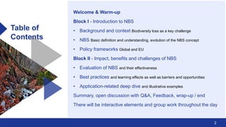 Example Nbs Work Section SC88_Ecologic_Introduction_to_NBS-web.pdf