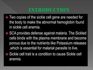  Two copies of the sickle cell gene are needed for

the body to make the abnormal hemoglobin found
in sickle cell anemia.
 SCA provides defense against malaria. The Sickled
cells binds with the plasma membrane and become
porous due to the nutrients like Potassium releases
,which is essential for malarial parasite to live.
 Sickle cell trait is a condition to cause Sickle cell
anemia.

 