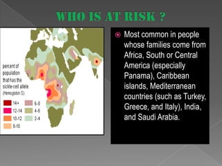 

Most common in people
whose families come from
Africa, South or Central
America (especially
Panama), Caribbean
islands, Mediterranean
countries (such as Turkey,
Greece, and Italy), India,
and Saudi Arabia.

 