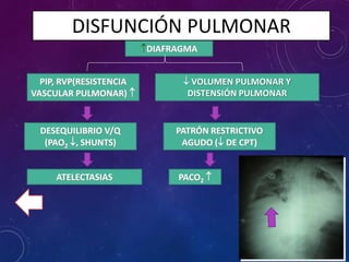 DISFUNCIÓN PULMONAR
DIAFRAGMA
 VOLUMEN PULMONAR Y
DISTENSIÓN PULMONAR
PATRÓN RESTRICTIVO
AGUDO ( DE CPT)
PACO2 
PIP, RVP(RESISTENCIA
VASCULAR PULMONAR) 
DESEQUILIBRIO V/Q
(PAO2 , SHUNTS)
ATELECTASIAS
 