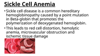 Comprehensive Overview of Sickle Cell Anemia: Molecular Basis ...