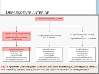 DESCENDENTE ANTERIOR
 