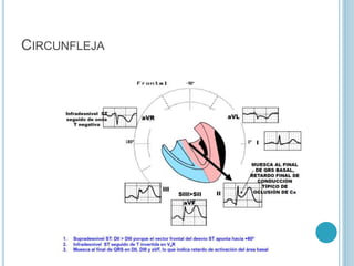 CIRCUNFLEJA
 