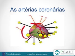 pcarefisioterapia.com.br/pcarefisioterapia
As artérias coronárias
 