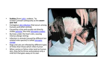 •   Scabies (from Latin: scabere, "to
    scratch"),known colloquially as the seven-
    year itch
•   Contagious skin infection that occurs among
    humans and other animals
•   Caused by a tiny and usually not directly
    visible parasite, the mite Sarcoptes scabiei,
•   Burrows under the host's skin, causing
    intense allergic itching
•   Infection in animals (caused by different but
    related mite species) is called sarcoptic
    mange
•   Dogs and cats are infected by different types
    of mites than those which infect human
•   When canine or feline mites land on human
    skin, they fail to thrive and produce only a
    mild itch that goes away on its own
 