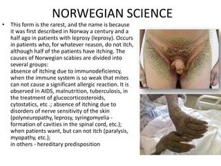 NORWEGIAN SCIENCE
• This form is the rarest, and the name is because
it was first described in Norway a century and a
half ago in patients with leprosy (leprosy). Occurs
in patients who, for whatever reason, do not itch,
although half of the patients have itching. The
causes of Norwegian scabies are divided into
several groups:
absence of itching due to immunodeficiency,
when the immune system is so weak that mites
can not cause a significant allergic reaction. It is
observed in AIDS, malnutrition, tuberculosis, in
the treatment of glucocorticosteroids,
cytostatics, etc .; absence of itching due to
disorders of nerve sensitivity of the skin
(polyneuropathy, leprosy, syringomyelia -
formation of cavities in the spinal cord, etc.);
when patients want, but can not itch (paralysis,
myopathy, etc.);
in others - hereditary predisposition
 
