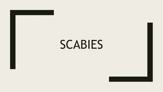 SCABIES
 