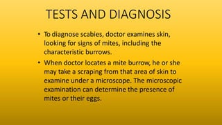 Burrow Ink Testing SCABIES | PPTX