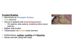 Clinical Pharmacotherapy of Scabies Disease | PPTX