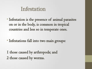 Infested Body Comprehensive Overview of Parasitic Skin Infections: Scabies and Beyond ...