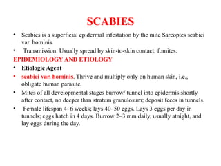 Scab Structures Comprehensive Overview of Skin Structure and Scabies Management | PPTX