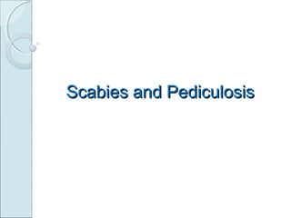 Scabies and PediculosisScabies and Pediculosis
 