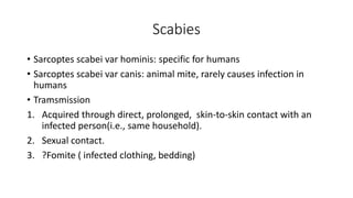 Scabies
• Sarcoptes scabei var hominis: specific for humans
• Sarcoptes scabei var canis: animal mite, rarely causes infection in
humans
• Tramsmission
1. Acquired through direct, prolonged, skin-to-skin contact with an
infected person(i.e., same household).
2. Sexual contact.
3. ?Fomite ( infected clothing, bedding)
 