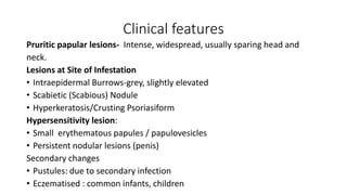 Clinical features
Pruritic papular lesions- Intense, widespread, usually sparing head and
neck.
Lesions at Site of Infestation
• Intraepidermal Burrows-grey, slightly elevated
• Scabietic (Scabious) Nodule
• Hyperkeratosis/Crusting Psoriasiform
Hypersensitivity lesion:
• Small erythematous papules / papulovesicles
• Persistent nodular lesions (penis)
Secondary changes
• Pustules: due to secondary infection
• Eczematised : common infants, children
 