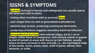 Scabies [Derma] smol.pptxbees bees bees bees | PPTX