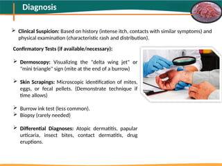 Burrow Ink Testing Scabies Outbreak In Bangladesh & It's Management-MSD.pptx
