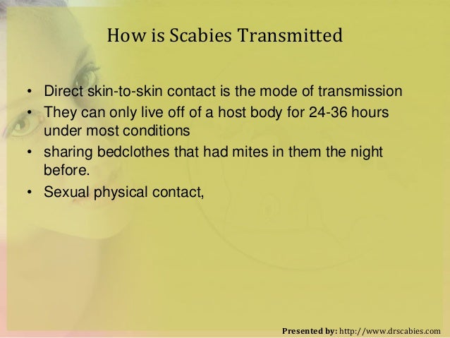 How To Kill Scabies All Think To Know