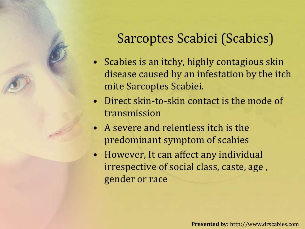 How to Kill Scabies ? All Think to Know