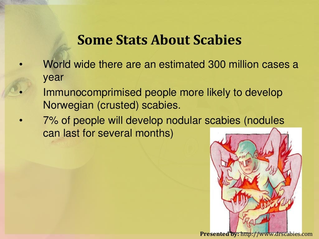 How to Kill Scabies ? All Think to Know