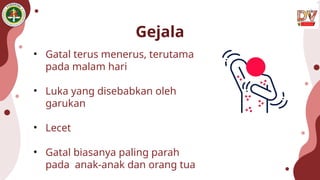 Gejala
• Gatal terus menerus, terutama
pada malam hari
• Luka yang disebabkan oleh
garukan
• Lecet
• Gatal biasanya paling parah
pada anak-anak dan orang tua
 